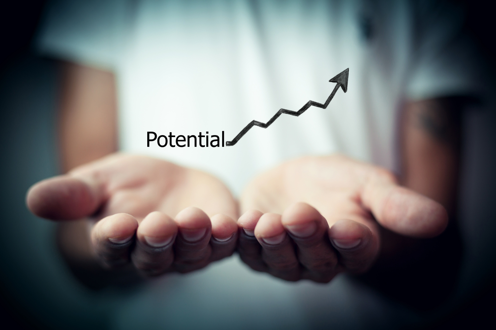 </p>
<h2>Career Coaching and Harrison Assessments for Professional Growth</h2>
<p>