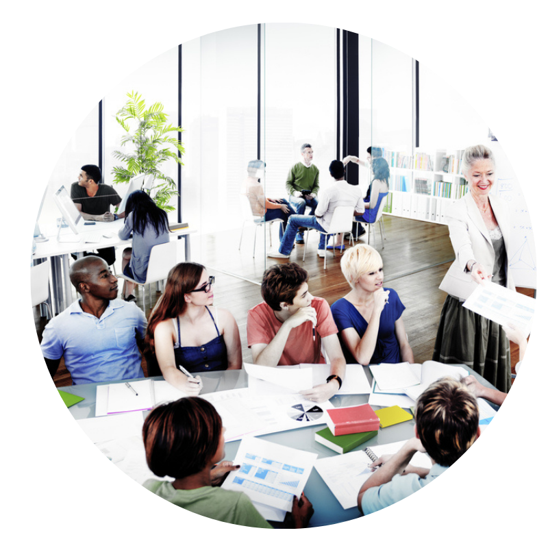 Leadership insights from Harrison Assessments showing data-driven leadership performance and team engagement.